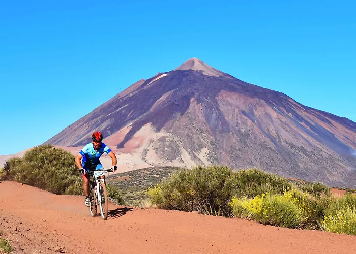 ホテル Adonis Plaza 3*