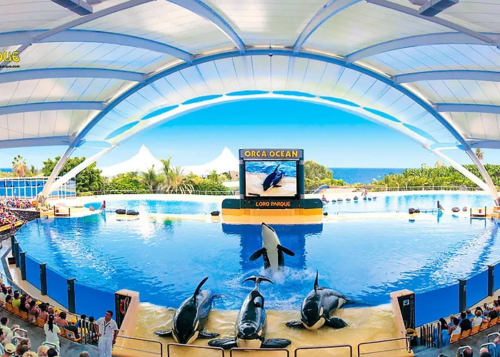 ホテル Adonis Plaza 3*