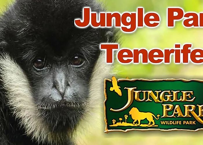 Adonis Plaza ホテル サンタクルスデテネリフェ