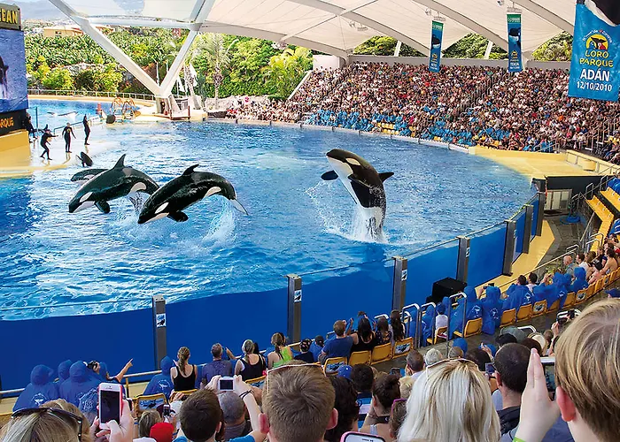 ホテル Adonis Plaza 3*